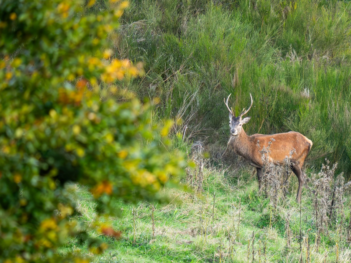 07102025-07 10 25 (1).jpg